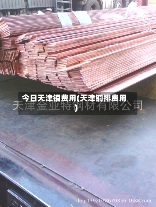 今日天津铜费用(天津铜排费用)