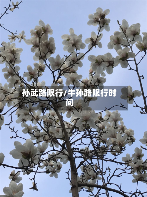 孙武路限行/牛孙路限行时间