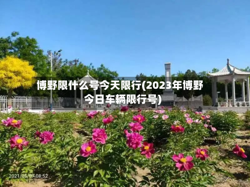 博野限什么号今天限行(2023年博野今日车辆限行号)