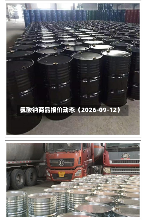 氯酸钠商品报价动态（2026-09-12）-第1张图片
