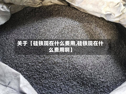 关于【硅铁现在什么费用,硅铁现在什么费用啊】