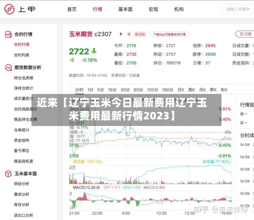 近来【辽宁玉米今日最新费用辽宁玉米费用最新行情2023】-第1张图片