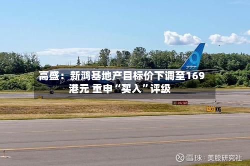 高盛：新鸿基地产目标价下调至169港元 重申“买入”评级-第1张图片