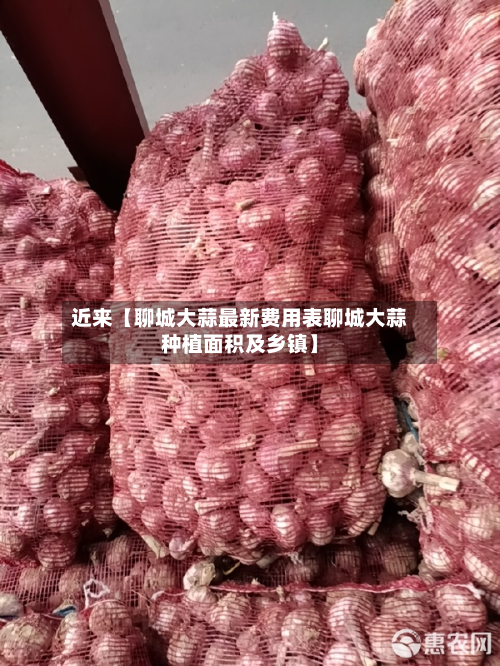 近来【聊城大蒜最新费用表聊城大蒜种植面积及乡镇】