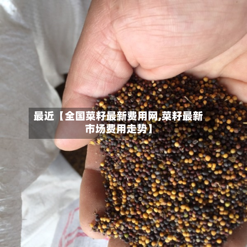 最近【全国菜籽最新费用网,菜籽最新市场费用走势】