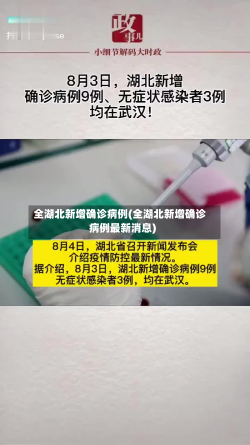 全湖北新增确诊病例(全湖北新增确诊病例最新消息)