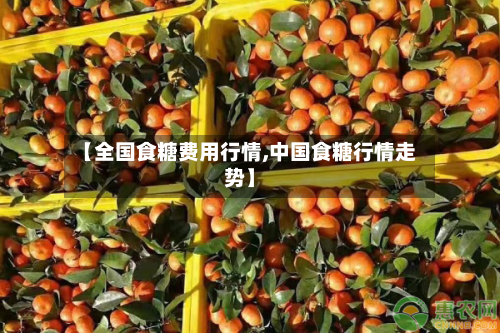 【全国食糖费用行情,中国食糖行情走势】-第1张图片