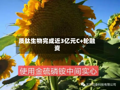 质肽生物完成近3亿元C+轮融资