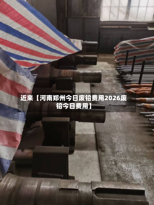 近来【河南郑州今日废铅费用2026废铅今日费用】