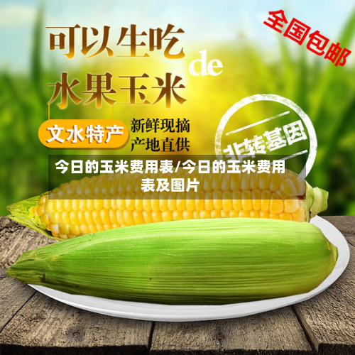 今日的玉米费用表/今日的玉米费用表及图片