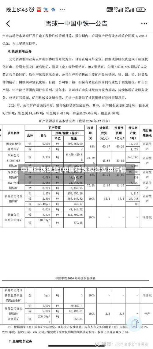 中国硅铁现货(中国硅铁现货费用行情)