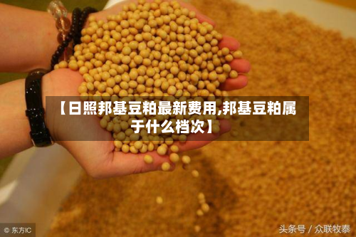 【日照邦基豆粕最新费用,邦基豆粕属于什么档次】