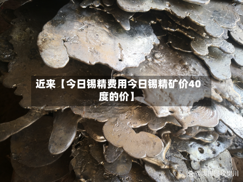近来【今日锡精费用今日锡精矿价40度的价】