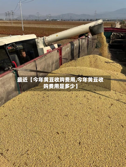 最近【今年黄豆收购费用,今年黄豆收购费用是多少】
