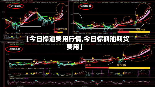 【今日棕油费用行情,今日棕榈油期货费用】