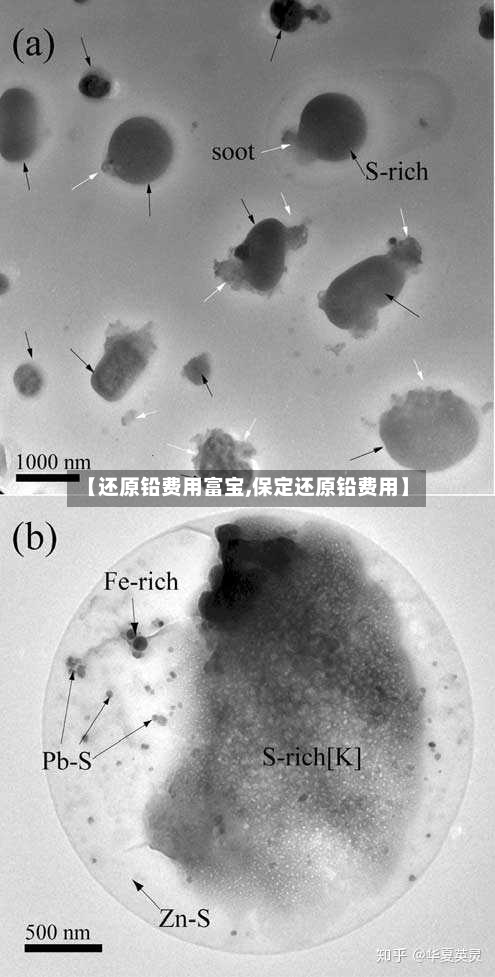 【还原铅费用富宝,保定还原铅费用】