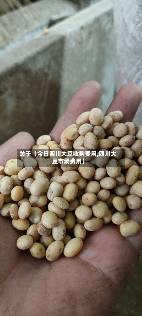 关于【今日四川大豆收购费用,四川大豆市场费用】