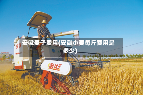 安徽麦子费用(安徽小麦每斤费用是多少)