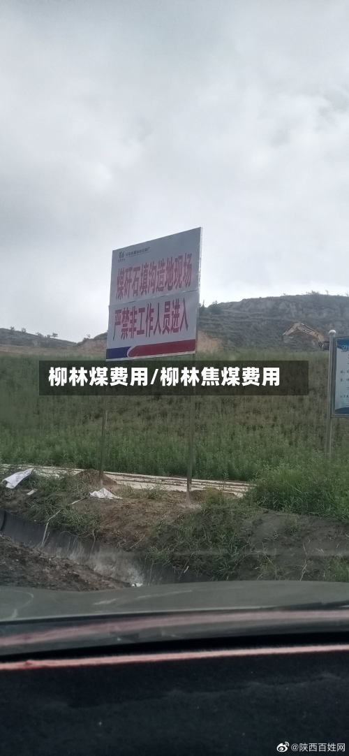 柳林煤费用/柳林焦煤费用