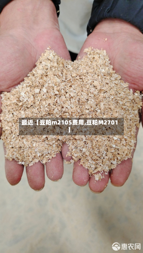 最近【豆粕m2105费用,豆粕M2701】