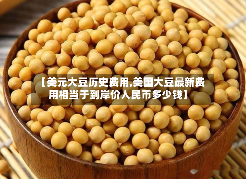 【美元大豆历史费用,美国大豆最新费用相当于到岸价人民币多少钱】