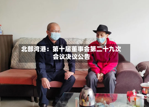 北部湾港:第十届董事会第二十九次会议决议公告-第1张图片