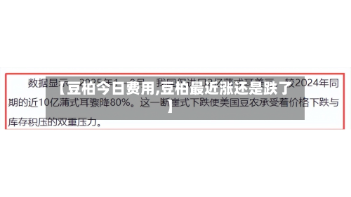 【豆柏今日费用,豆柏最近涨还是跌了】-第1张图片
