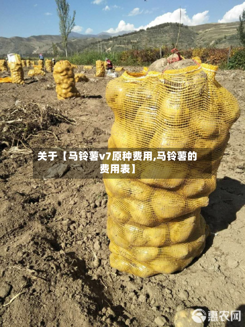 关于【马铃薯v7原种费用,马铃薯的费用表】