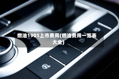 燃油1901上市费用(燃油费用一览表大全)-第1张图片