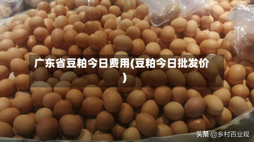 广东省豆粕今日费用(豆粕今日批发价)