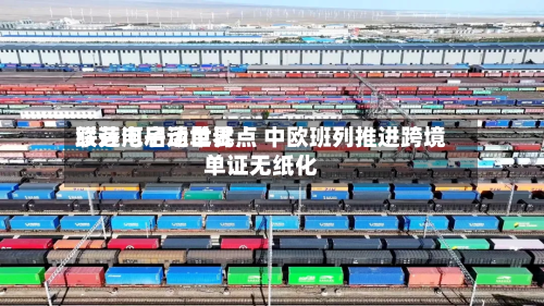 绥芬河启动世界联运电子运单试点 中欧班列推进跨境单证无纸化