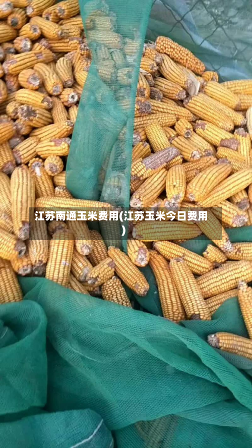 江苏南通玉米费用(江苏玉米今日费用)