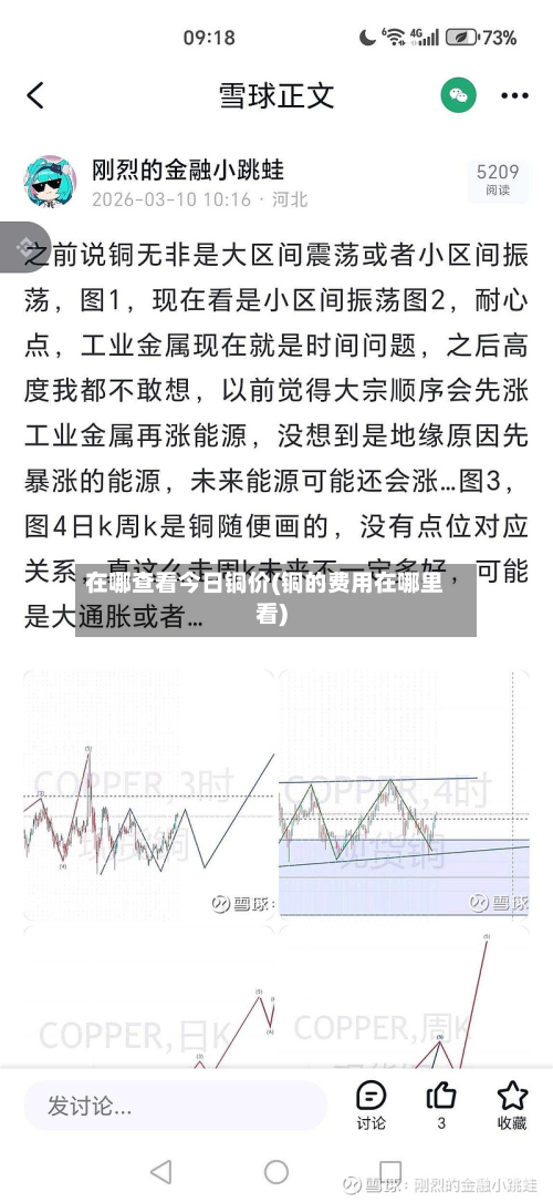 在哪查看今日铜价(铜的费用在哪里看)