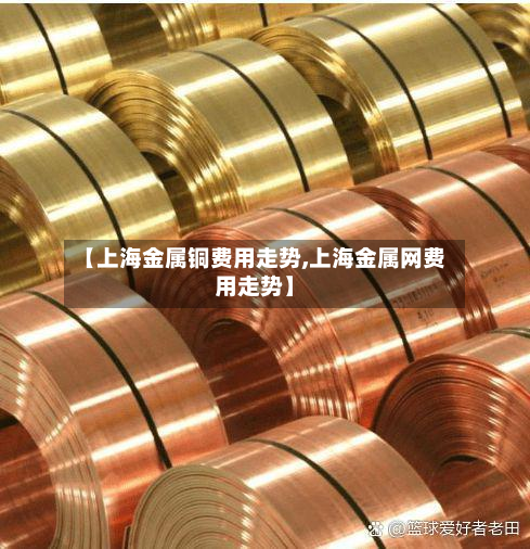 【上海金属铜费用走势,上海金属网费用走势】