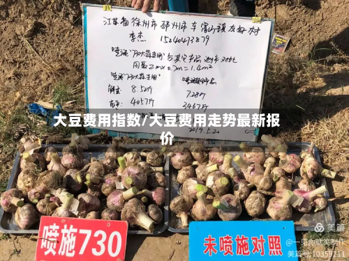 大豆费用指数/大豆费用走势最新报价