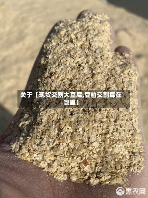 关于【现货交割大豆库,豆粕交割库在哪里】