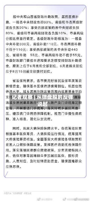 记者观察 | 从微盘股的反弹说起