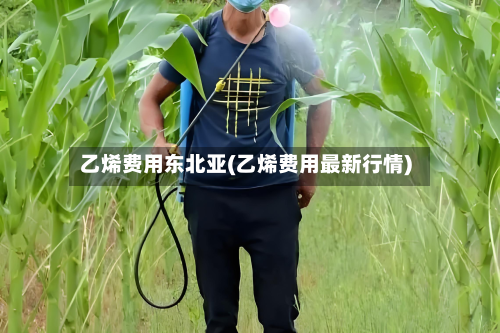 乙烯费用东北亚(乙烯费用最新行情)-第1张图片