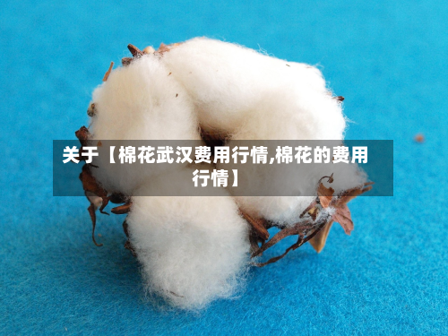 关于【棉花武汉费用行情,棉花的费用行情】-第1张图片