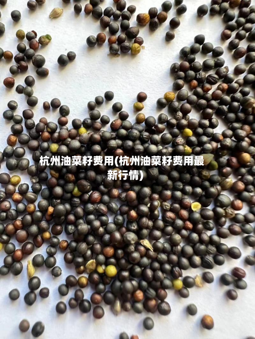 杭州油菜籽费用(杭州油菜籽费用最新行情)-第1张图片