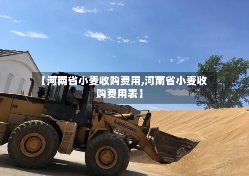 【河南省小麦收购费用,河南省小麦收购费用表】