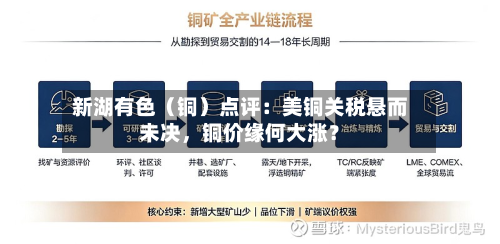 新湖有色（铜）点评：美铜关税悬而未决，铜价缘何大涨？-第1张图片